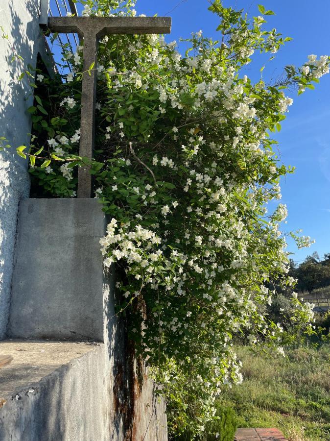 Quinta Do Eco *