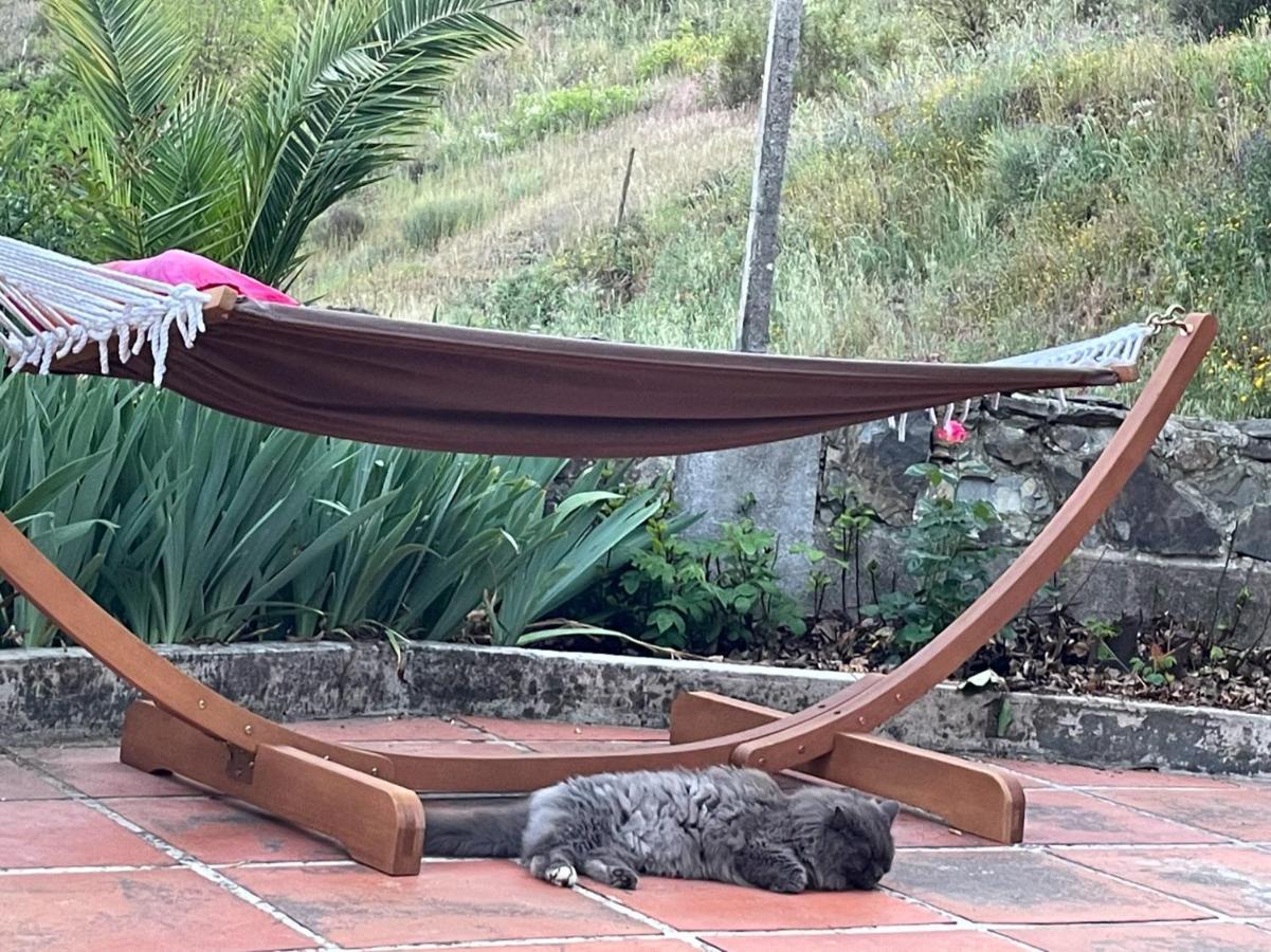 Séjour chez l'habitant Quinta Do Eco Vila de Rei