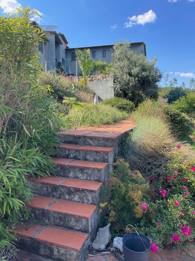 Quinta Do Eco Séjour chez l'habitant Vila de Rei